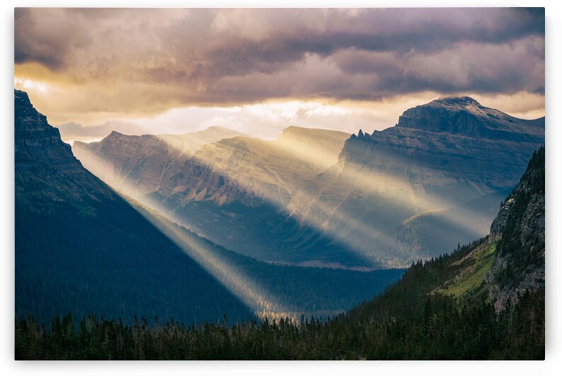Logan Pass Sunrays by Geoffrey Prior