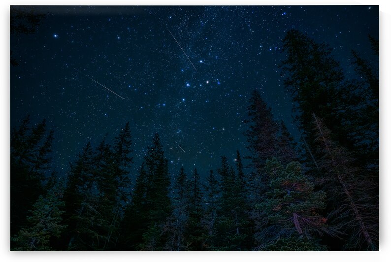 Glacier Stars by Geoffrey Prior