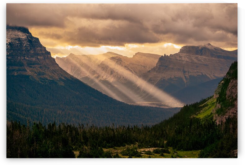 Logan Pass Sunbeams by Geoffrey Prior