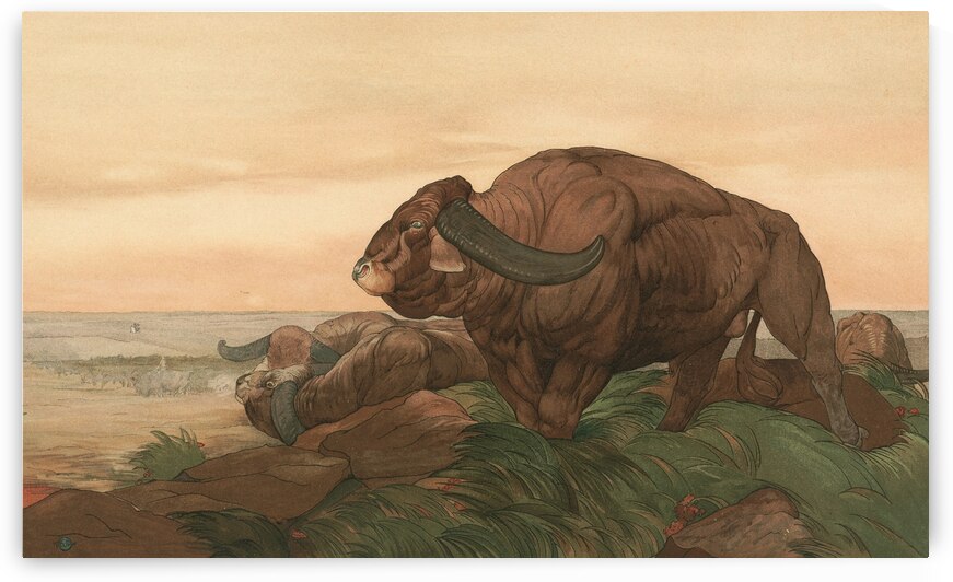 The Return Of The Buffalo Herd [1903] by Charles Maurice Detmold [1883–1908] by MyCozyFineArt