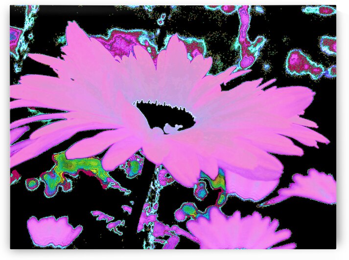 Abstract Surreal Neon Daises  by Catriona Roberts Nature Photography and Designs