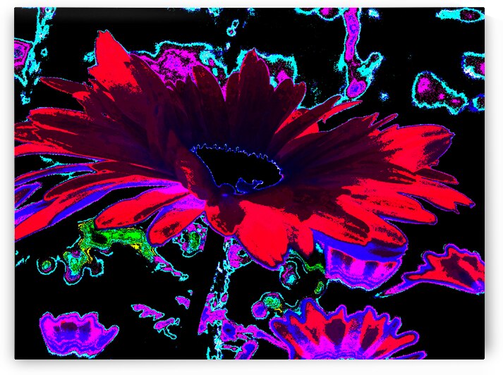 Abstract Psychedelic Neon Daises by Catriona Roberts Nature Photography and Designs