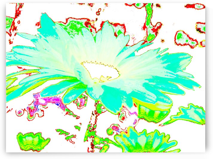 Abstract Colourful Psychedelic Daises by Catriona Roberts Nature Photography and Designs