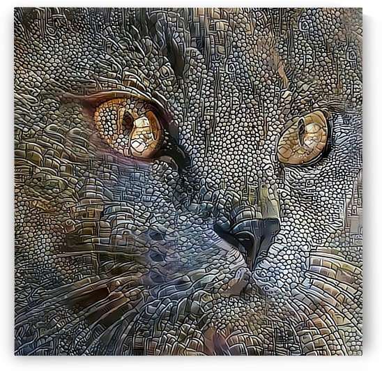 Smokey Blue Cat Portrait by HH Photography of Florida