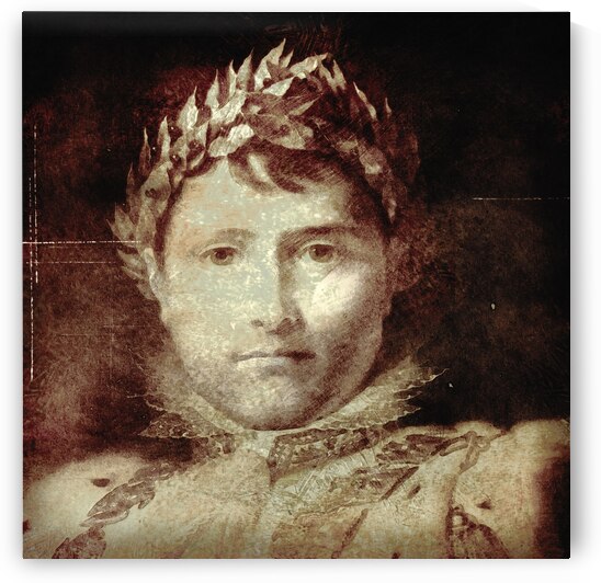 NANCY CALVERT PHOTOGRAPHY: NAPOLEAN Sepia 1 by Nancy Calvert