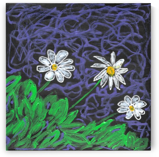 Daisy by Robert Burton