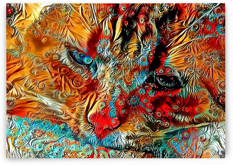 Colorful Callie  by HH Photography of Florida