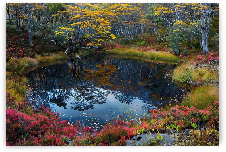 Autumn Reflections NZ 9P3N4H 45 by Abstract Rebellion