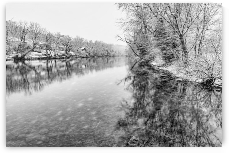 Snowing At The Finley River Grayscale by Jennifer White