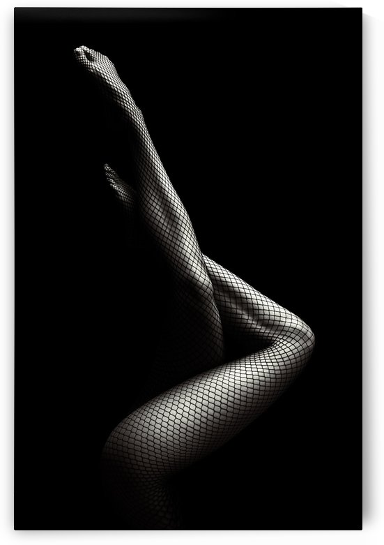 Legs in Fishnet Stockings 1 by Johan Swanepoel