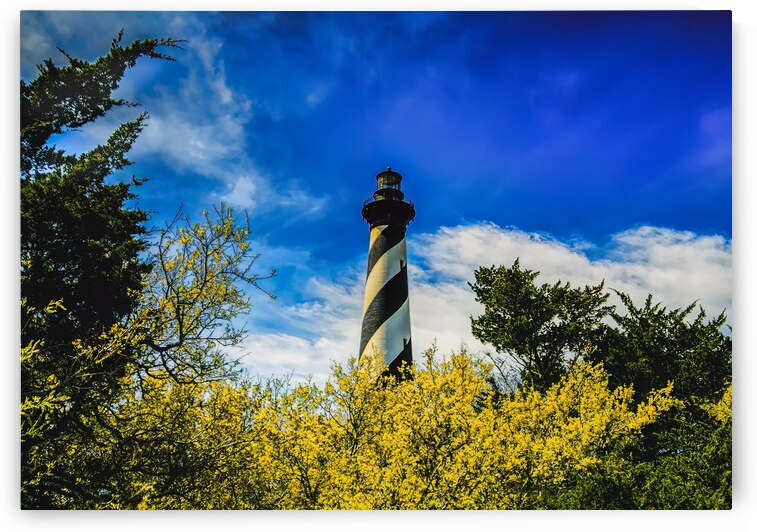 Cape Hatteras Lighthouse by Norma Brandsberg Photography