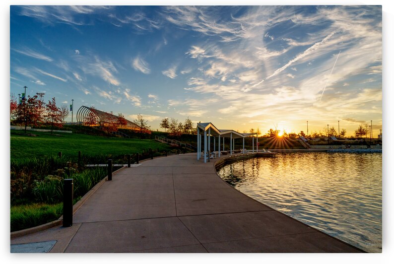 Heartland Park Golden Sunrise Rays by Jennifer White