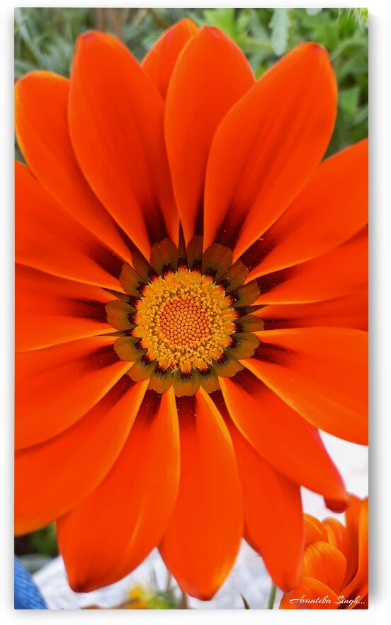 GridArt 20250122 104743048 by Avantika Singh