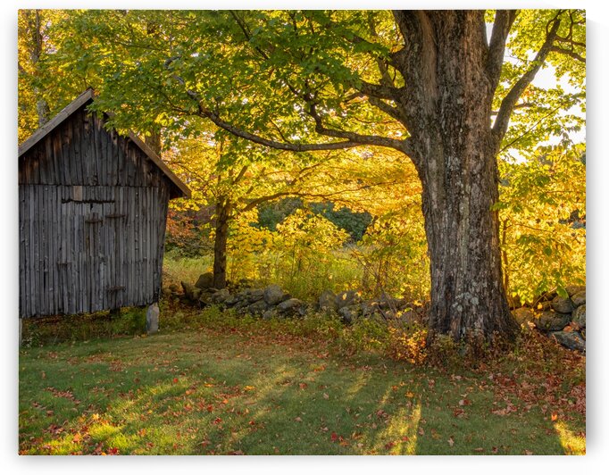 Corn Crib by Dave Therrien