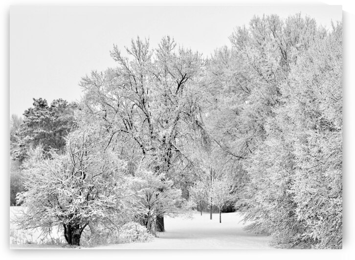 Winters Embrace by Lisa Drew