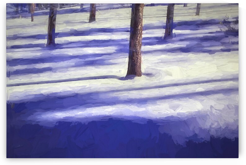 Snow Trees and Shadows Colorado X1 2 by Rich Franco