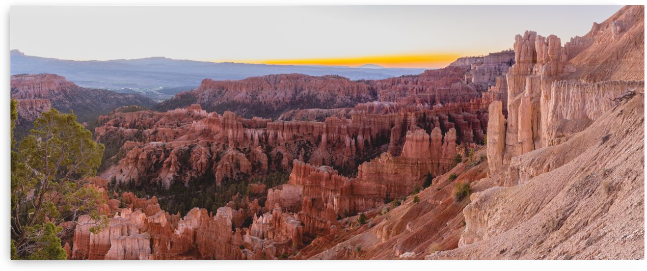 Good Morning Bryce Canyon National Park by Andrew Pacheco