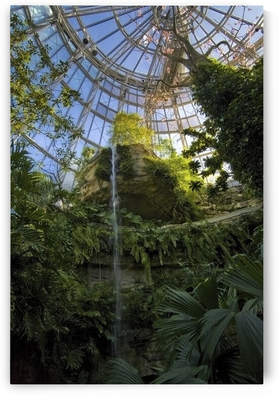 Aviary by DeepEarth Photography