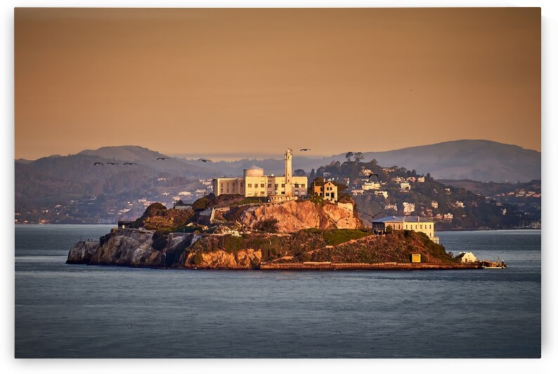 San Francisco Alcatraz Sunrise Birds by Ryan Cameron