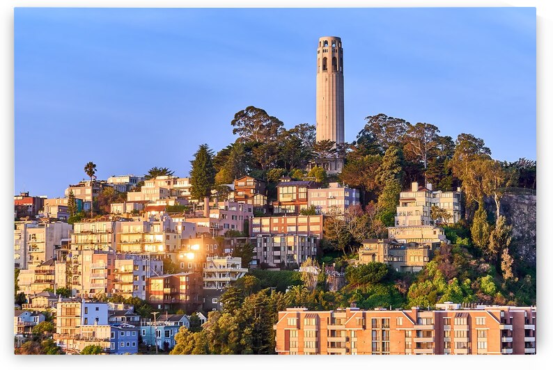 San Francisco Coit Tower Sunrise by Ryan Cameron