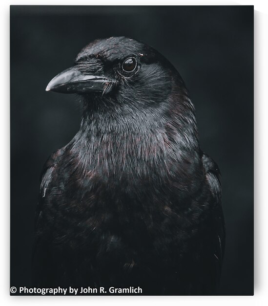 Hello Darkness my old Friend by Vividscope