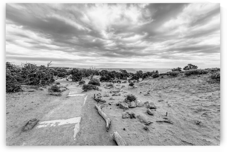Mesa Arch Hiking Trail Grayscale by Jennifer White