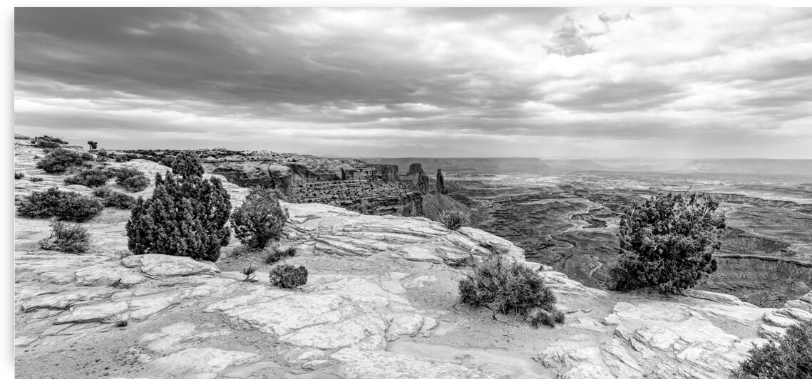 Near Edge Of Buck Canyon Pano Grayscale by Jennifer White