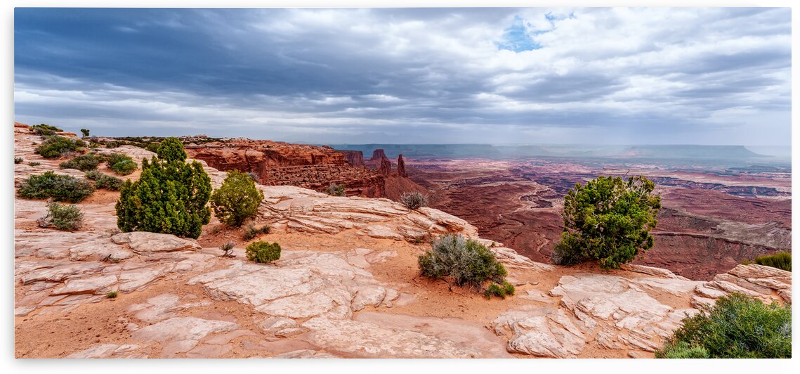 Near Edge Of Buck Canyon Pano by Jennifer White
