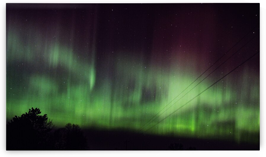 Electric Sky Dance - Northern Lights Over Minnesota by Lisa Drew