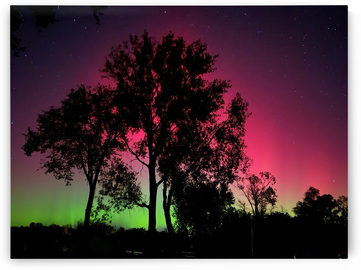 Neon Nights: The Northern Lights Over Minnesota by Lisa Drew