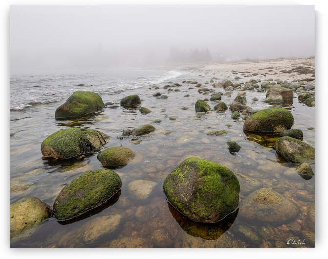 Mossy beach rocks by Hugh Chisholm Photography