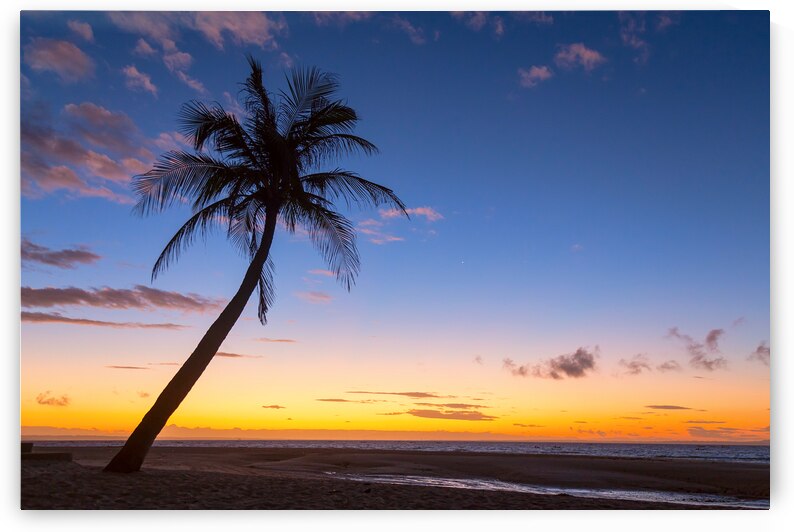 Tropical Island Sunrise by Bo Insogna