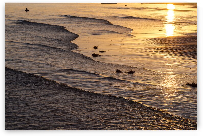 Golden Tide by Bo Insogna