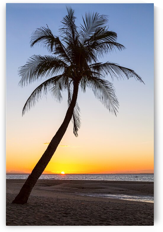 Coco Mo Tropical Sunrise by Bo Insogna