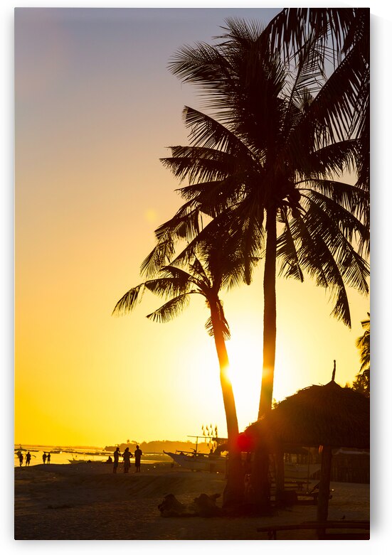 Golden Beach Tropics by Bo Insogna