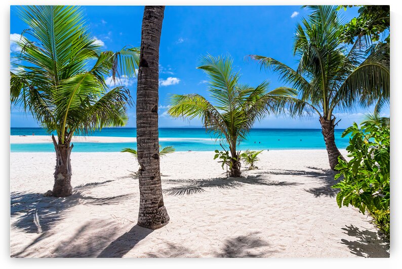 Tropical Vacation View by Bo Insogna