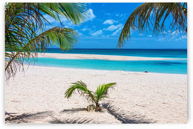 Tropical White Sand Beaches Vacation View by Bo Insogna