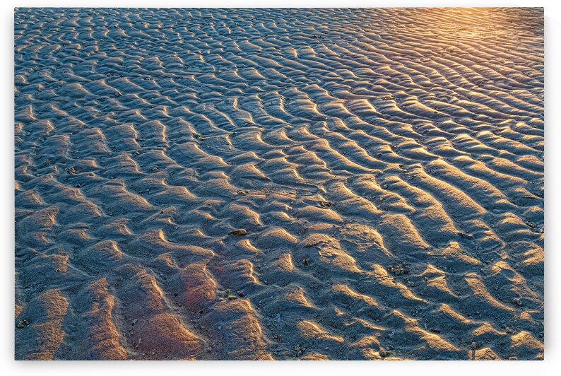 Ripples In The Sand by Bo Insogna