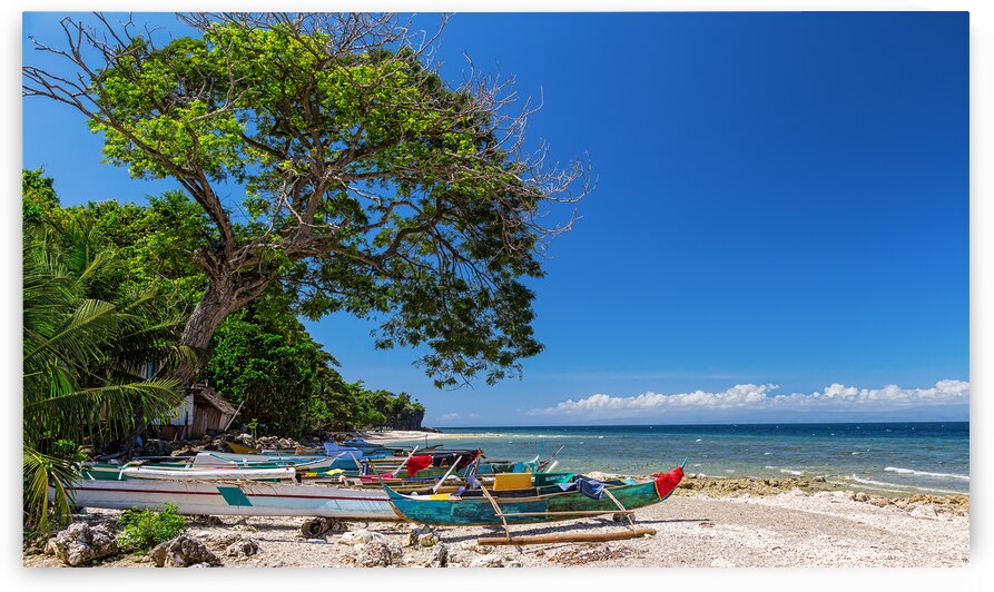 Tropical Island Panorama Paradise by Bo Insogna