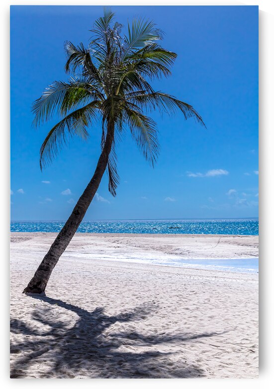 White Sand Beaches and Tropical Blue Skies by Bo Insogna