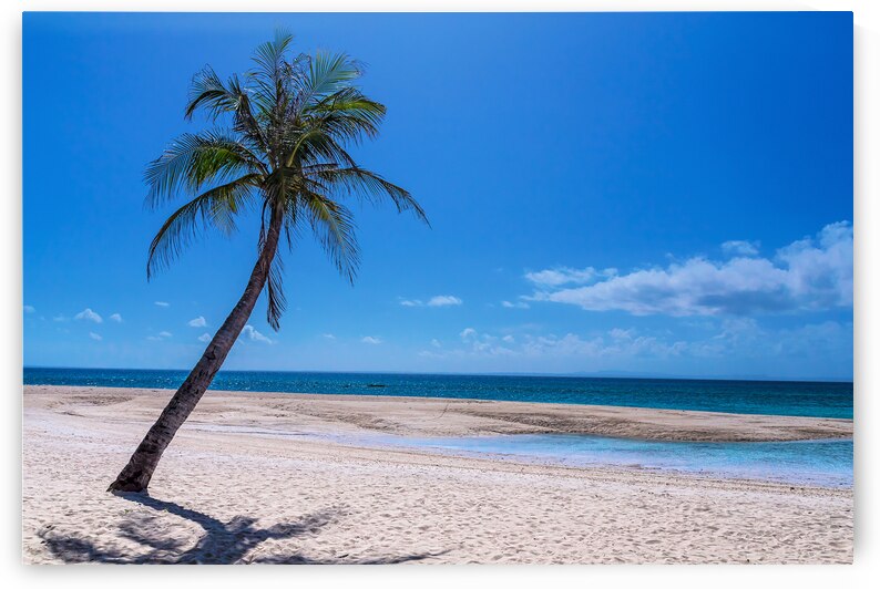 Tropical Blue Skies And White Sand Beaches by Bo Insogna