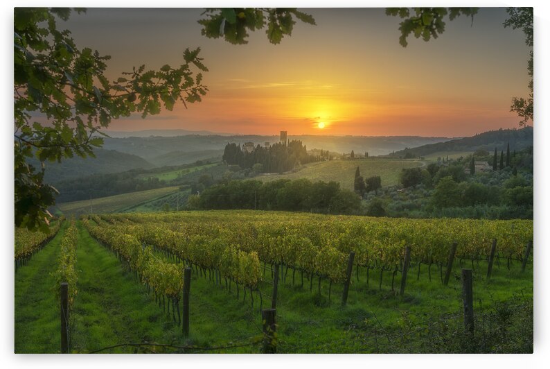 Vineyards at sunset and the Abbey of Badia a Passignano by Stefano Orazzini