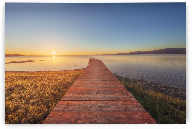 Pier on Lake Trasimeno and a swan at sunset. Umbria Italy by Stefano Orazzini