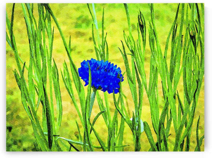Vibrant watercolor painting of a cornflower in lush green foliage by Gestalt Imagery