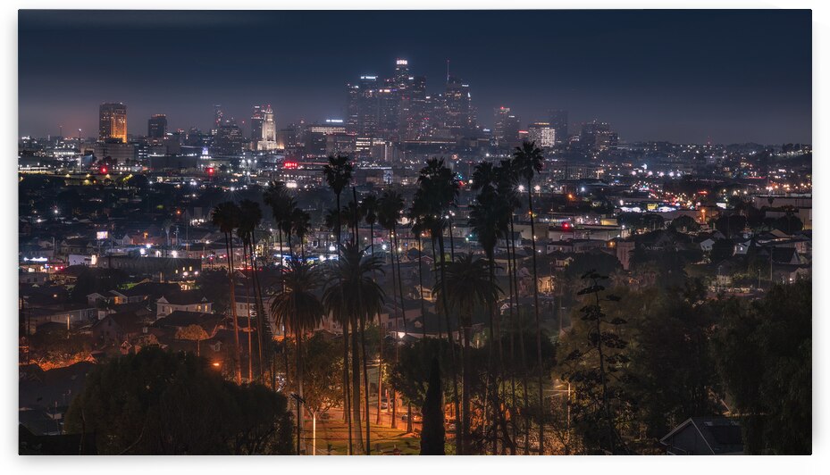 Los Angeles Cityscape | Night View with Iconic Palms by Dutch Photographer