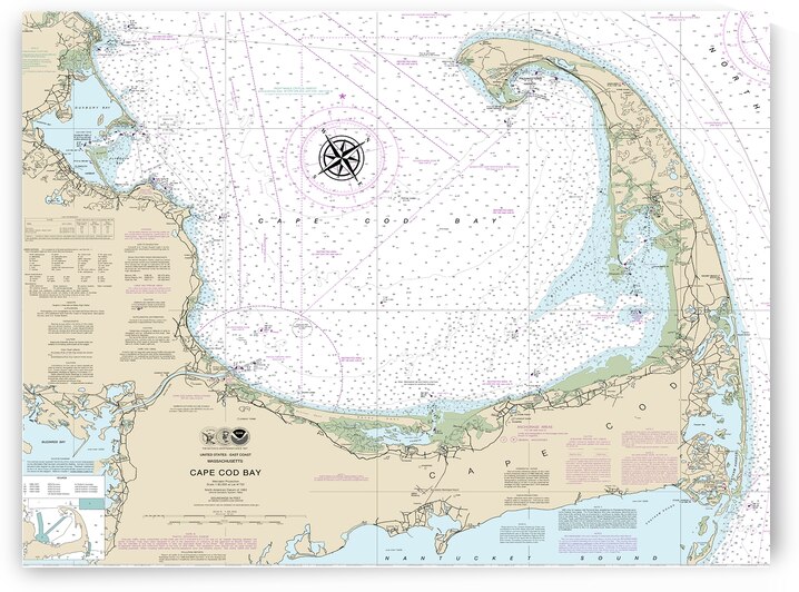 cape cod basket by JANIce