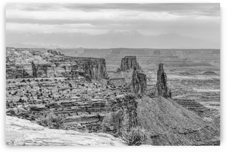 Washer Woman Arch Canyonlands Grayscale by Jennifer White