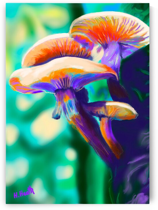 Mushrooms - Digital painting by Holly Heath