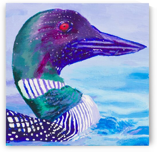 Loon - Acrylic Painting by Holly Heath