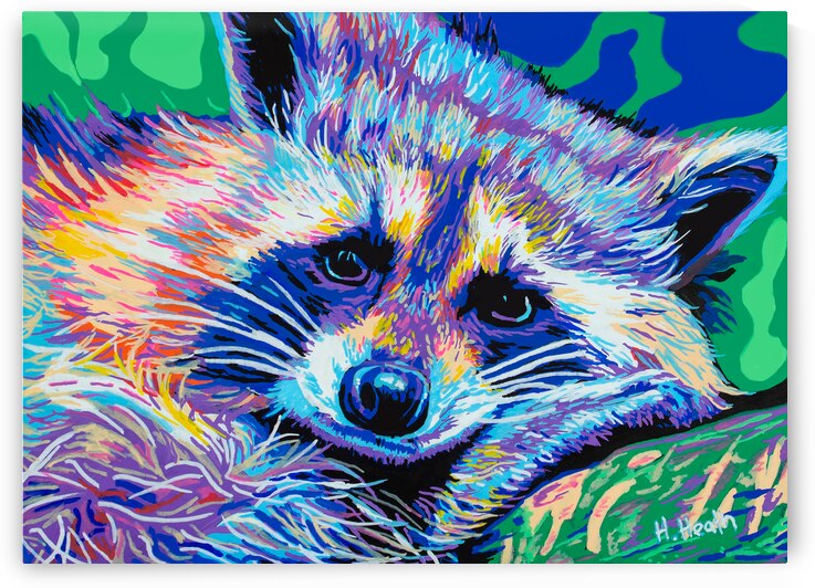 Raccoon - Acrylic Marker Drawing  by Holly Heath